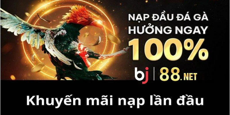 Khuyến mãi BJ88 với 100% khi nạp đầu đá gà tại nhà cái